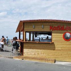 Kostaldea