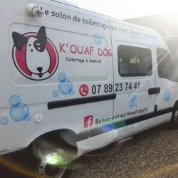 Kouaf Dog 02 Toilettage A Domicile