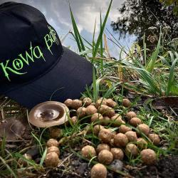 Kowa Baits