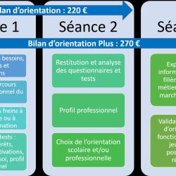 Krysalide Orientation Scolaire