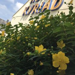 Kyriad Tarbes - Odos