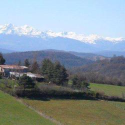 L'abeillevie