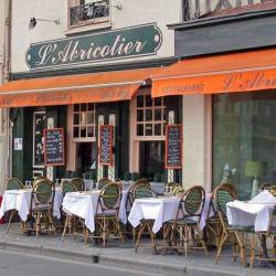 L'abricotier