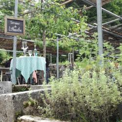 L'absinthe - Restaurant Du Saut Du Doubs