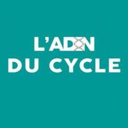 L'adn Du Cycle
