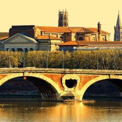 L'agence Toulouse-immobilier