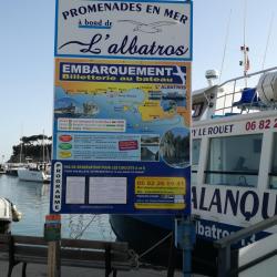 L'albatros Côte Bleue