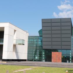L’amphi