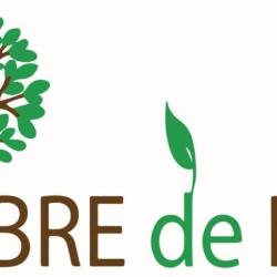 L'arbre De Noa