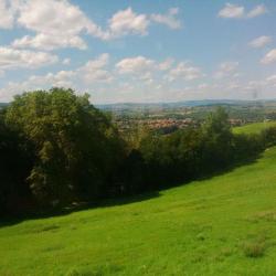 L'arbresle