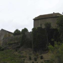 L'armoise Chateau De Jaulny