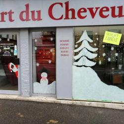 L'art Du Cheveu