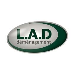 L'art Du Déménagement