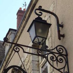 L'asne Qui Veille