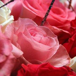L'atelier Aux Fleurs Andre