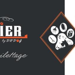 L'atelier By D.r Dog