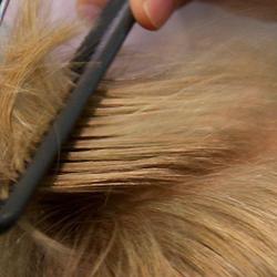 L Atelier Coiffure