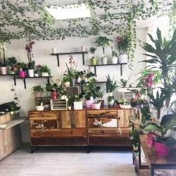 L'atelier De Lili