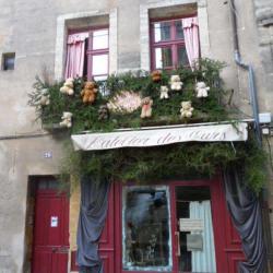 L'atelier Des Ours