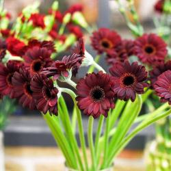L' Atelier Du Végétal Fleuriste