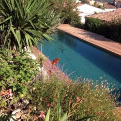 L'atelier Piscines