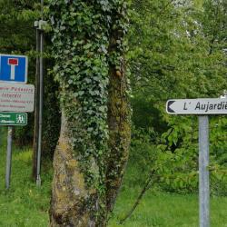 L'aujardière