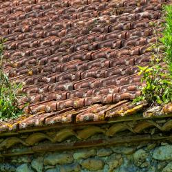 L'avenir De L'habitat