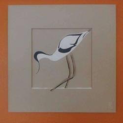 L'avocette