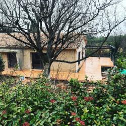L'eco Des Bois