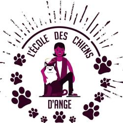 L'ecole Des Chiens D'ange