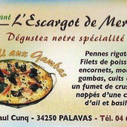 L'escargot De Mer