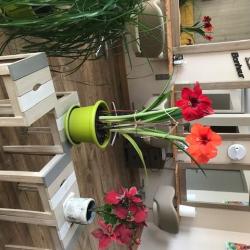 L'essentiel Coiffure Bio Par Mirella