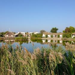 L'estelle En Camargue