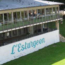 L'esturgeon