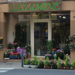 L'etamine