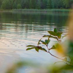 L'etang De Steph