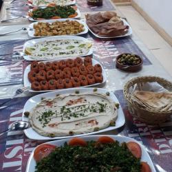 L'etoile Syrienne
