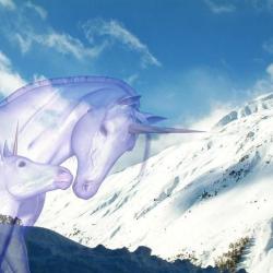 L'eveil De La Licorne Pascale Ferragu
