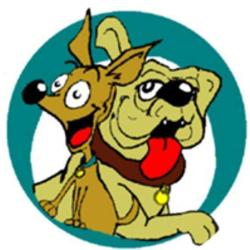 L'expert Du Chien