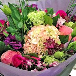 L'herbe Et La Rose