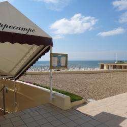 L'hippocampe