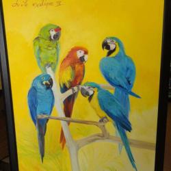 L'ile Exotique Animalerie