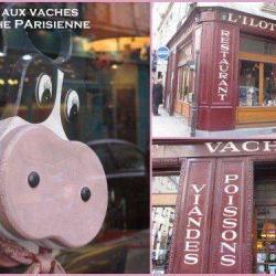 L'îlot Vache