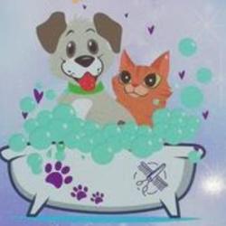 L'institut Canin Et Felin