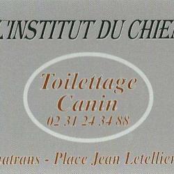 L'institut Du Chien