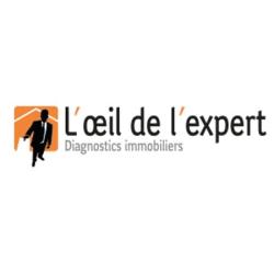 L'oeil De L'expert