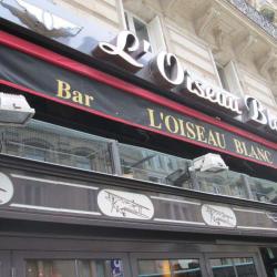 L'oiseau Blanc