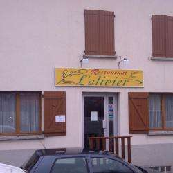 L'olivier