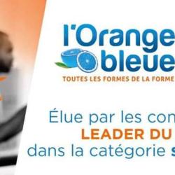 L'orange Bleue