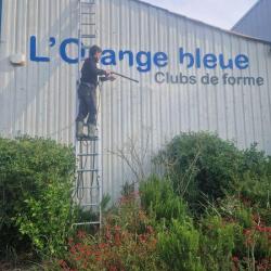 L'orange Bleue